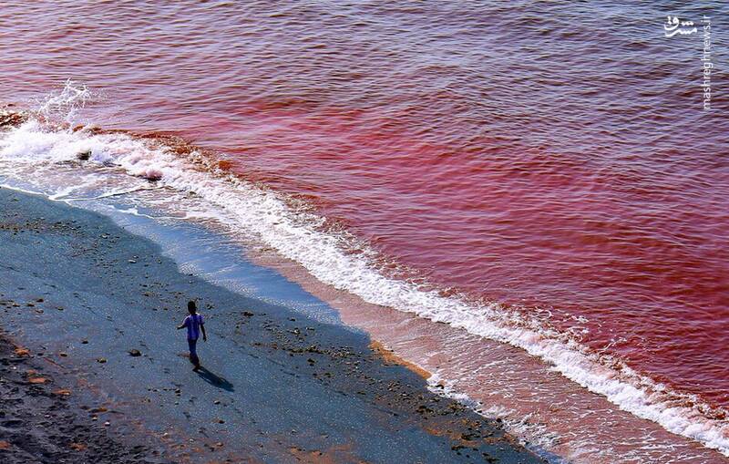 فیلم/ سرخ‌شدن ساحل هرمز پس از بارش باران