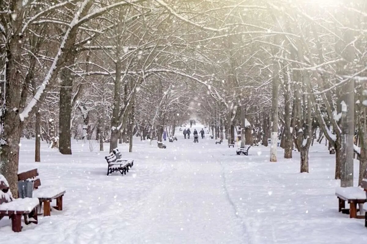 امشب این مناطق منتظر بارش برف و باران باشند