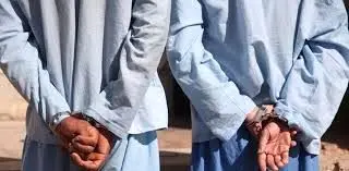 سارق موبایل: گوشی‌های سرقتی را برای تهیه مواد حدود ۳ تا ۴ میلیون تومان می‌فروختم/ ویدئو