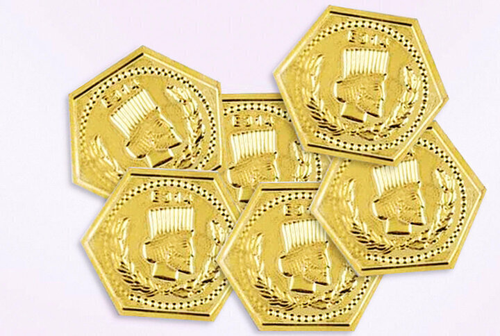 قیمت سکه پارسیان امروز یکشنبه ۱۱ آبان ۱۴۰۴ + جدول