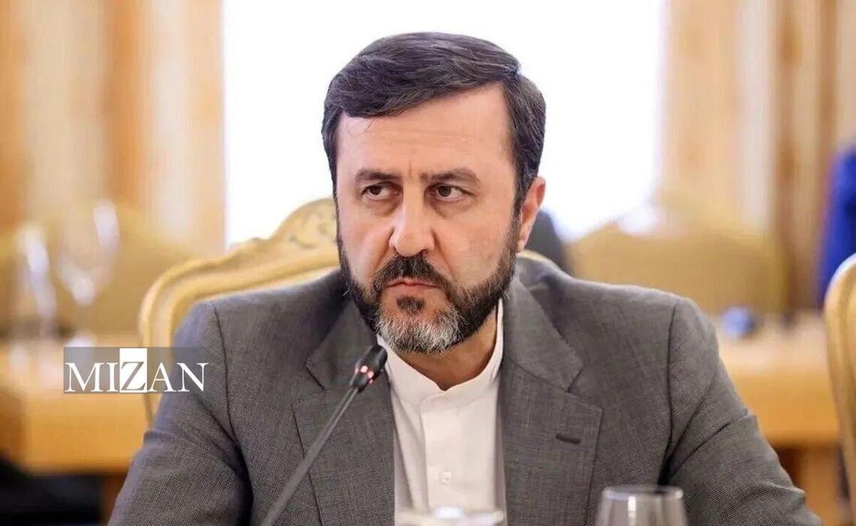 رایزنی غریب آبادی و کارشناس مستقل سازمان ملل درباره چگونگی تضعیف حقوق بین‌الملل درپی اقدامات آمریکا و رژیم صهیونیستی