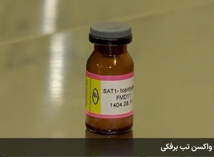 واکسن جدید تب برفکی با ویروس غیر بومی SAT۱ تولید می شود