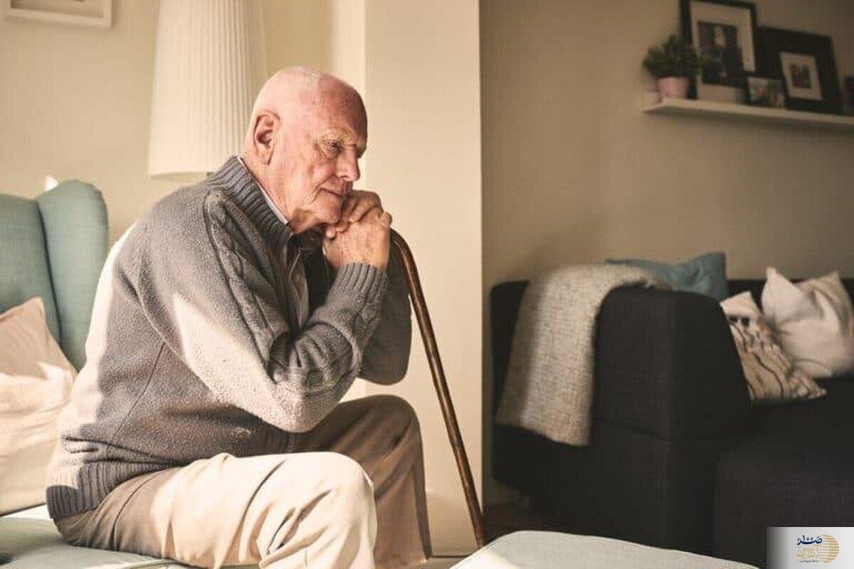 این خوشمزه دوست داشتنی ترمز پیری را می‌کشد