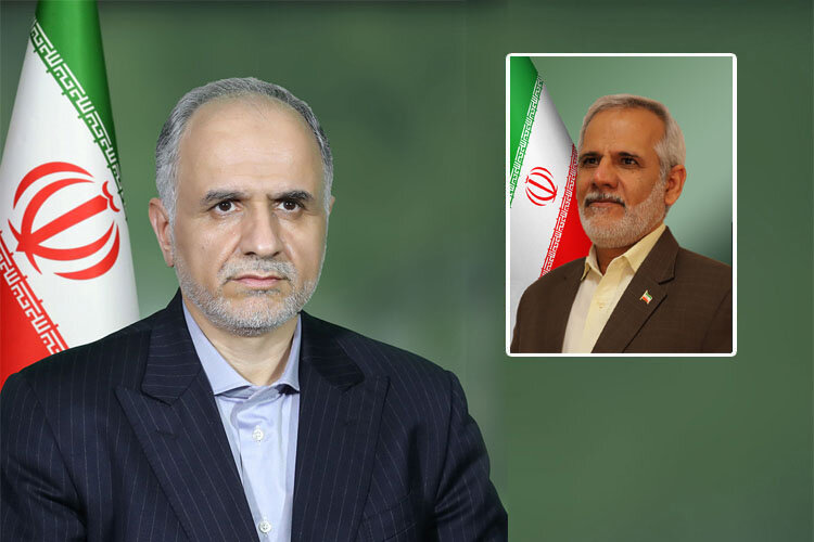 دبیر مرجع ملی کنوانسیون حقوق کودک منصوب شد