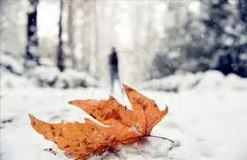 بارش نخستین برف پاییزی در تهران/ ویدئو