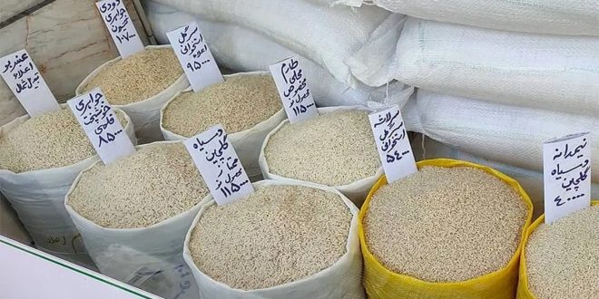 بدون تامین ارز، قیمت برنج مهار نمی‌شود/واردات کمتر از نیاز واقعی کشور - سایت خبری تحلیلی کسب و کار