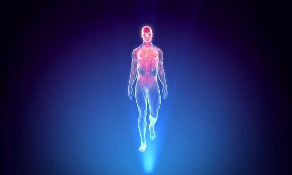 عجایبی باورنکردنی از بدن انسان